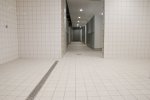 DSC_0135.jpg - 