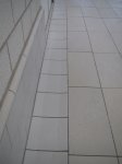 IMG_2318.jpg - 